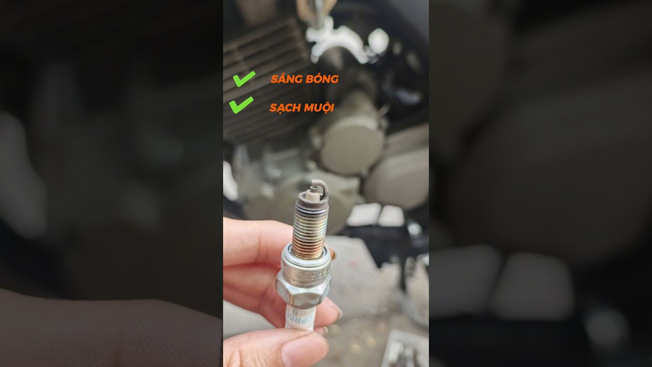 Feedback của khách sau khi sử dụng Magic Gasoline 901 - Enzym chủ động cho động cơ xăng.