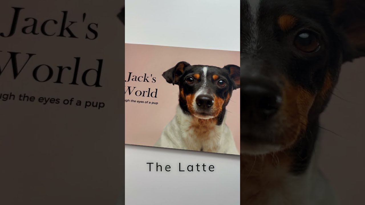 The Latte - Softcover coffee table book by Studio22