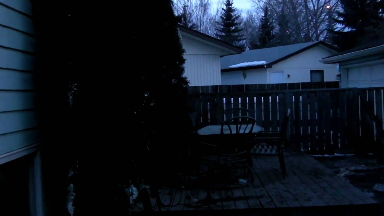 Annoying dogs barking next door