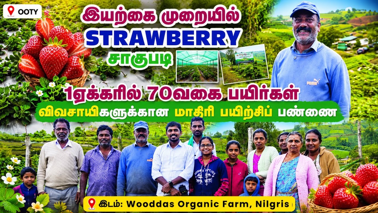 Organic Farming Model Farm | மண் வீடு, காய்கறிகள், Strawbery | Wooddas Farm | Pasumai Talks
