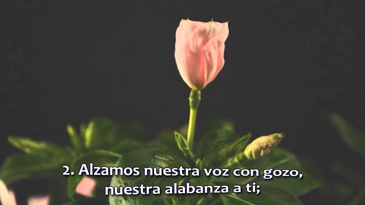 Himno Nº 201 Canción del Espirítu.