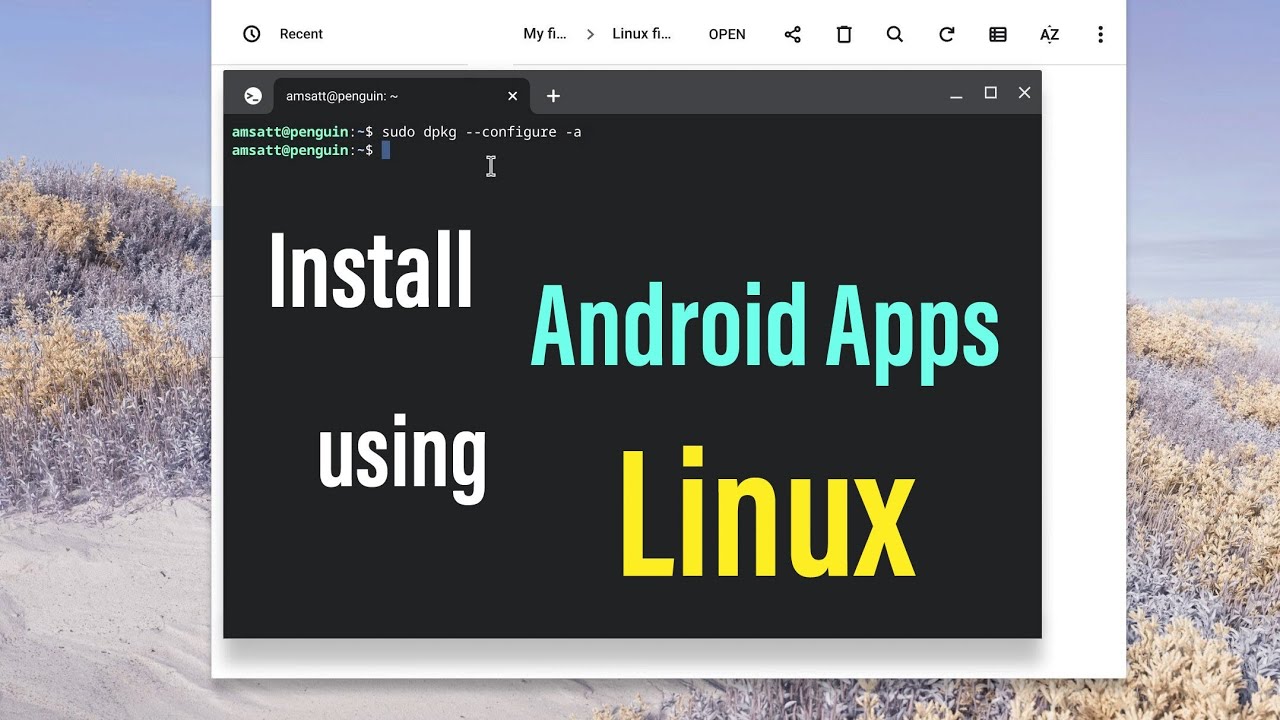 Установите Android APK на ChromeOS без Google Playstore, используя среду Linux!