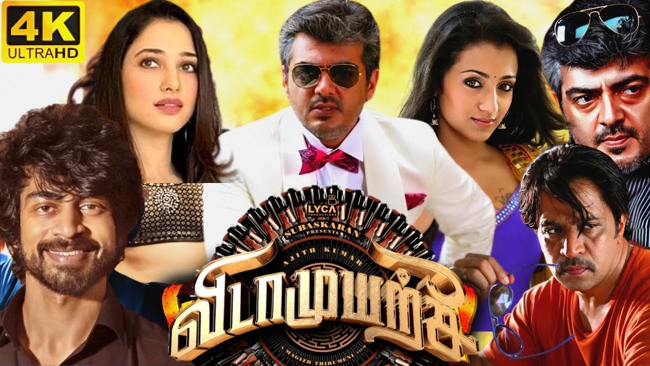 Vidamuyarchi Big surprise Update! | Vidamuyarchi | AK 62 Update | AjithKumar | AK 62 | #vidamuyarchi