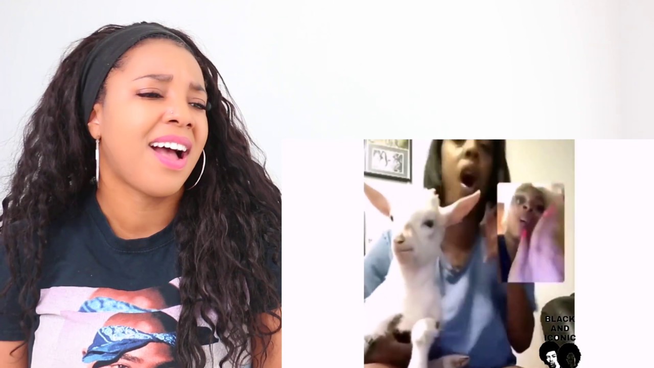 ANOTHER FUNNY BLACK AND ICONIC VIDEO COMPILATION | Reaction