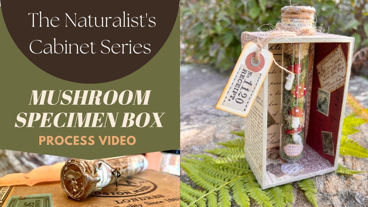 THE NATURALIST'S CABINET SERIES - Creating A Mushroom Specimen Box - 3D Mixed Media Tutorial