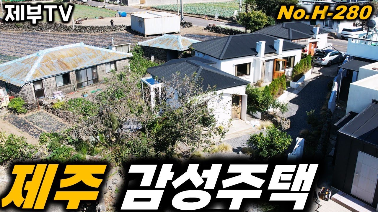 제주도 감성 끝판왕을 소개 합니다 H-280 마음이 몽글몽글 해지는 러블리 주택이에요