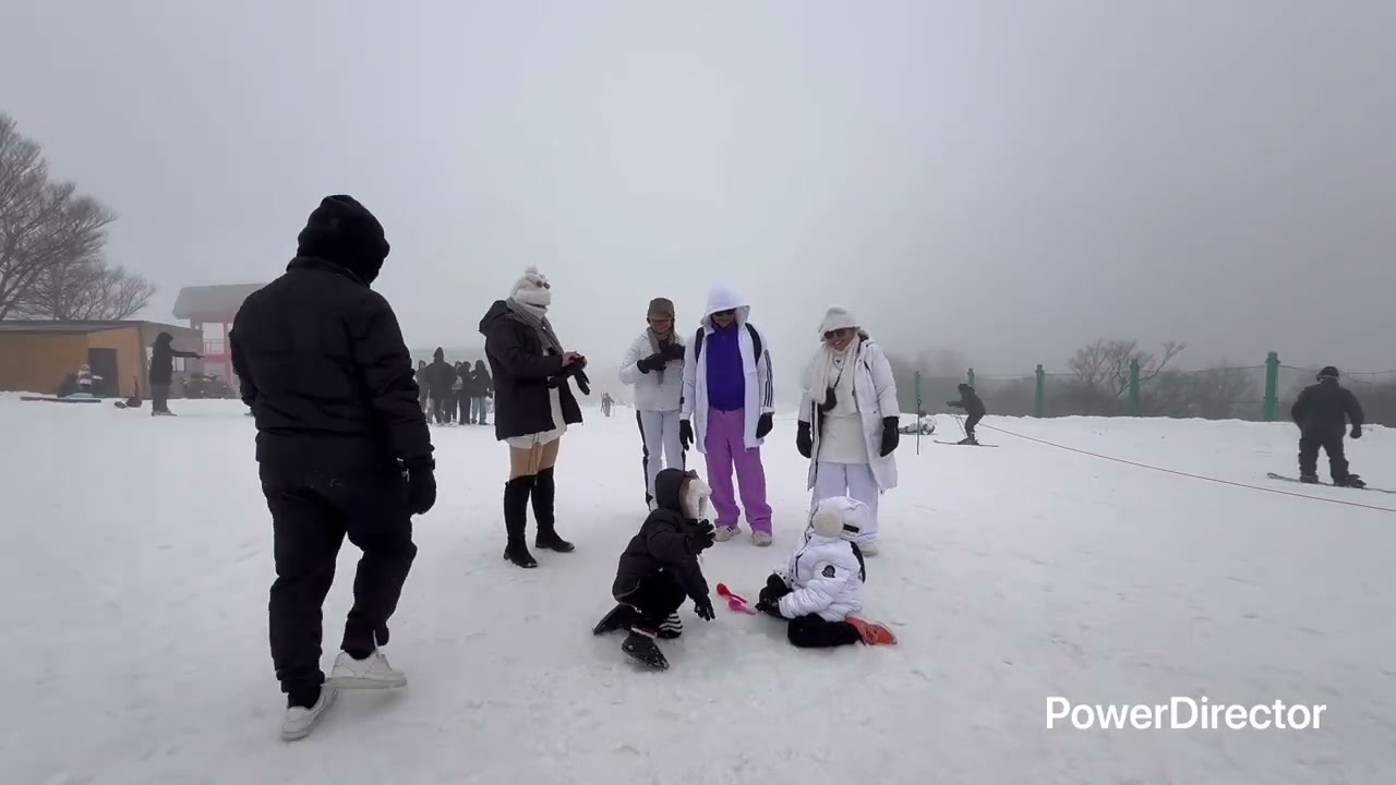 Japan feb 2026