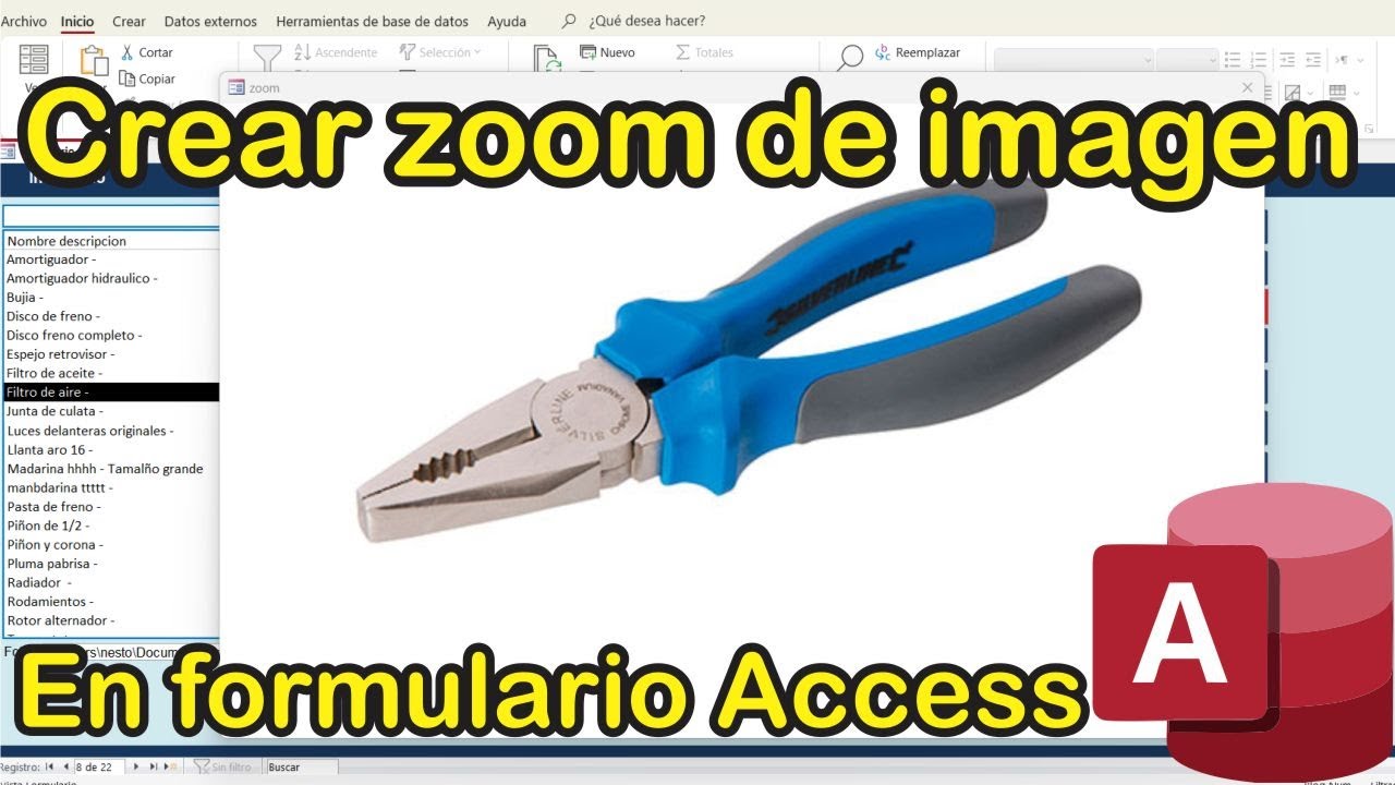 Cómo crear zoom o ampliar imagen en formulario de Access