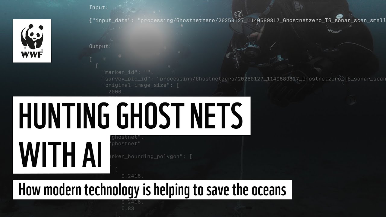 Hunting ghost nets with AI