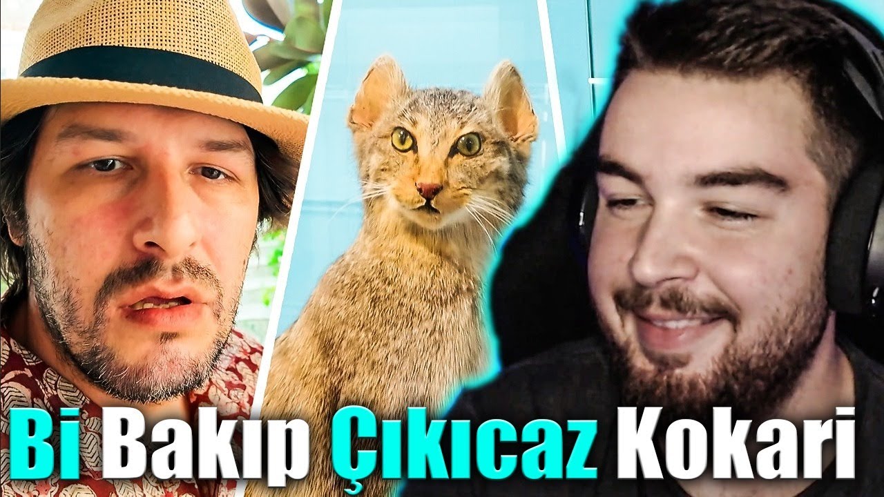 H1vezZz Bi Bakıp &Ccedil;ıkıcaz Kokari İzliyor (@NoluyoYaa)