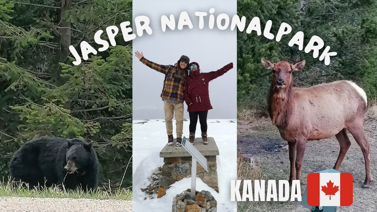 Kanada Folge 4 - Jasper Nationalpark