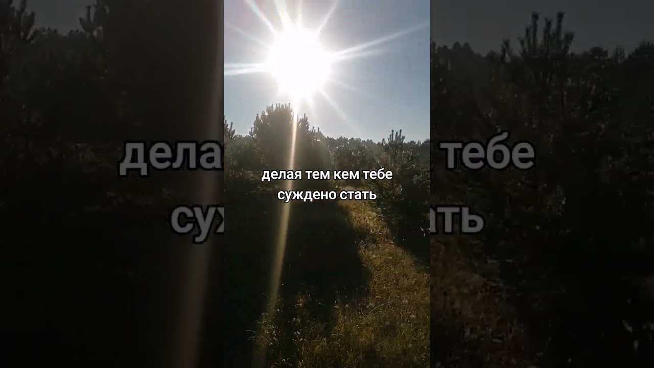 ДОВЕРИЕ ЖИЗНИ