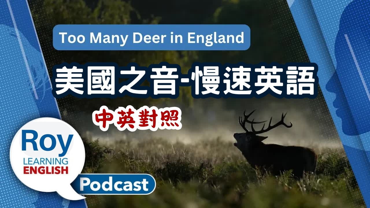美國之音｜慢速英語 Podcast｜EVs in Ethiopia, English deer, Mars’ ocean, Superlatives｜中英對照 | English Podcast