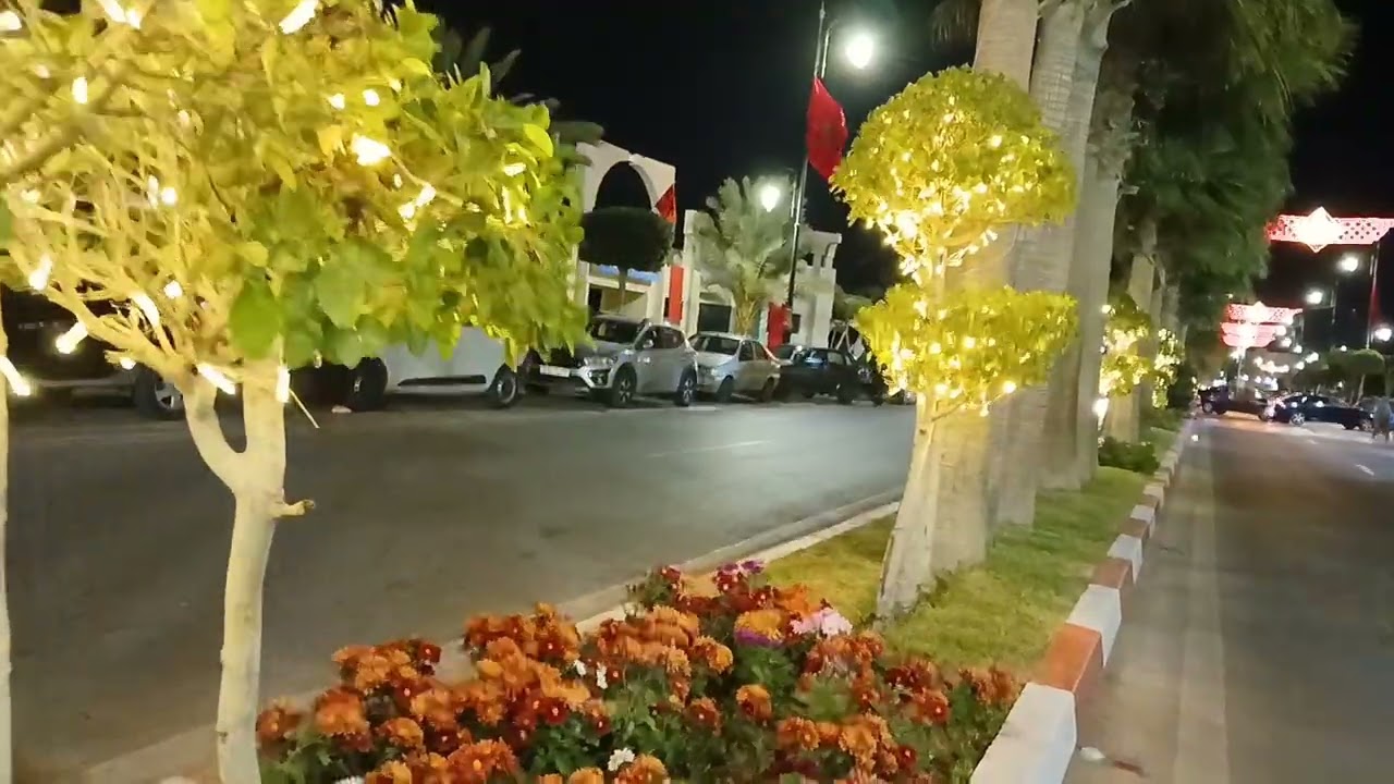 @abellah 2117المسيرة الخضراء الذكرى الخمسين 2025 laayuone Maroc 