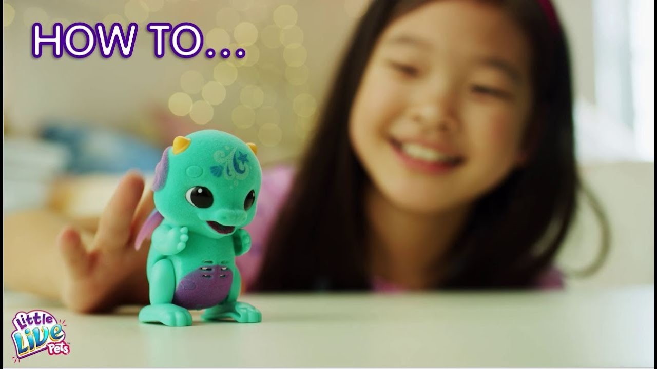 Little Live Pets S1 Surprise Dragon | How to Care & Play