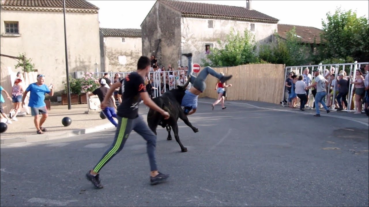Abrivade Molleg&egrave;s Manade Chapelle 02/08/2017