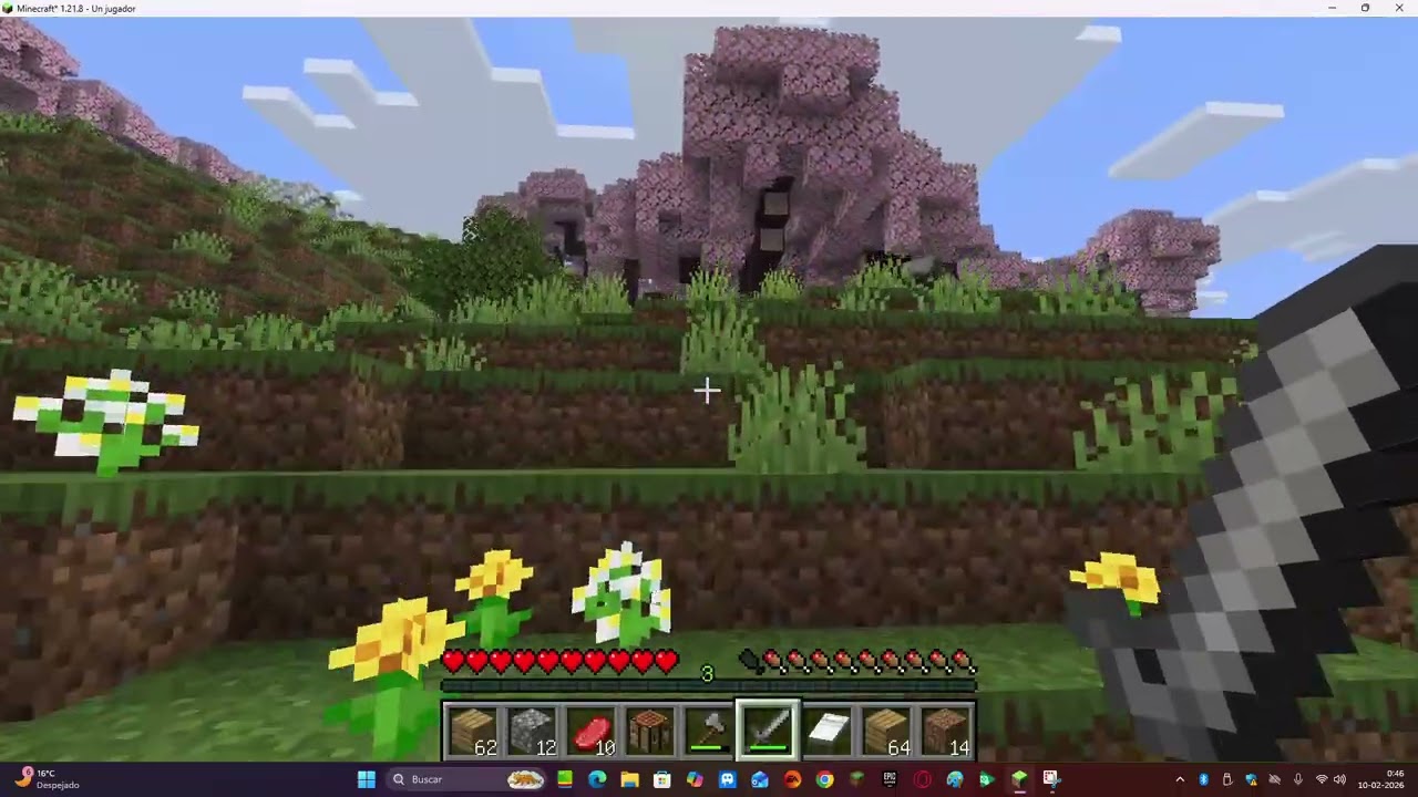SEGUNDA PARTE DE LA SERIE JUGANDO MINECRAFT