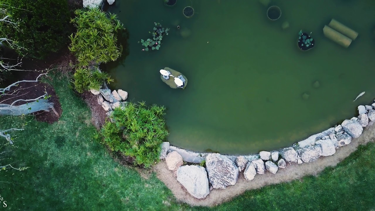 Japanese garden ,ערן שלונסקי - צילום רחפן הגן היפני חפציבה