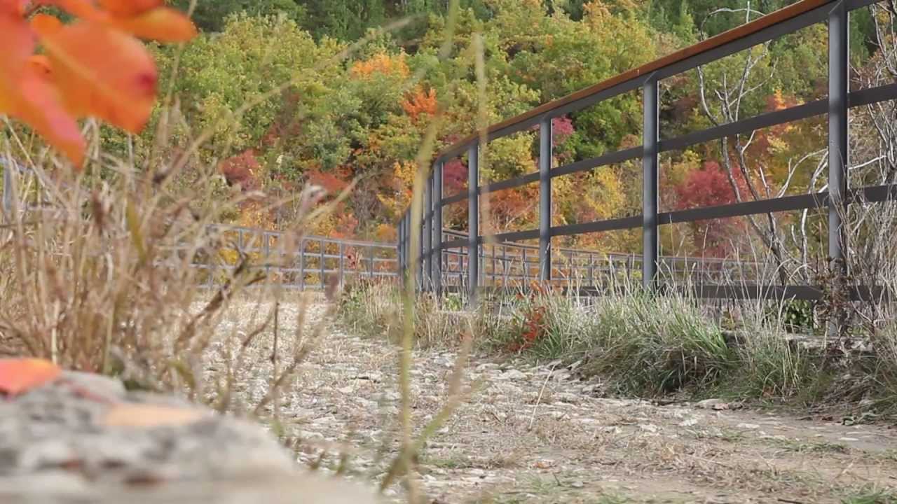 Parenzana II promo video