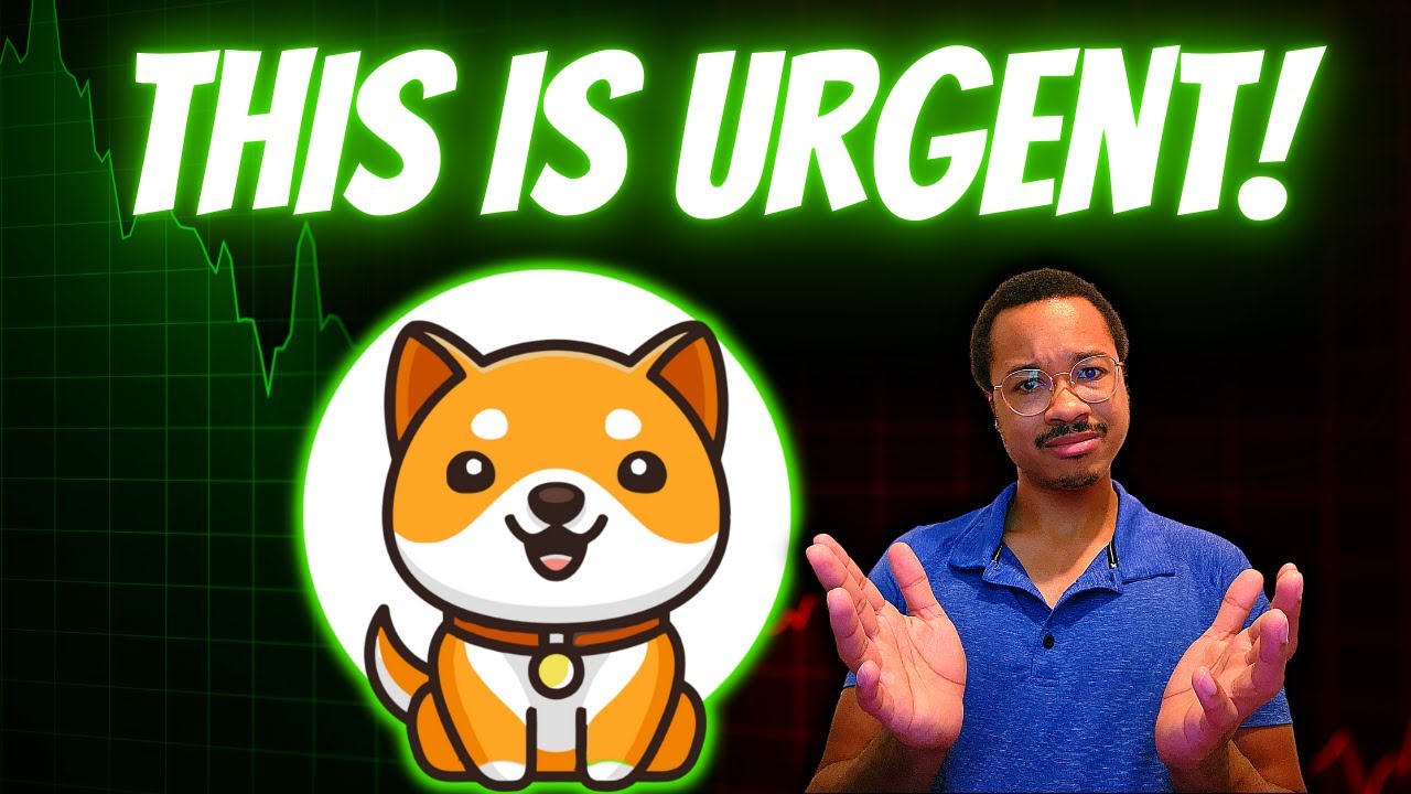 BABY DOGE Holders Are Upset, Are They RIGHT?