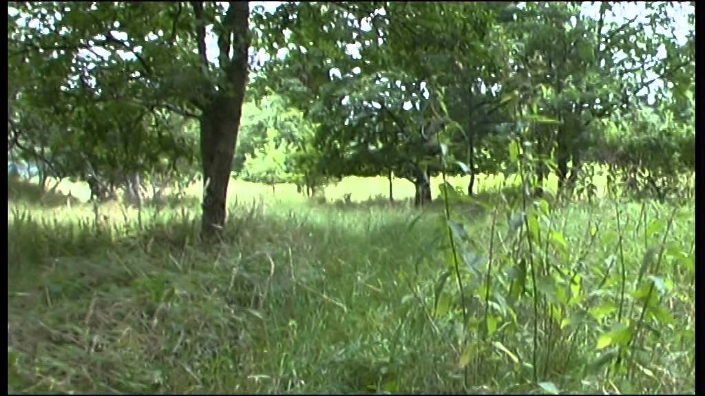 Lost Places: Die vergessene Autobahn - Strecke 24 (Andi-TV 55)