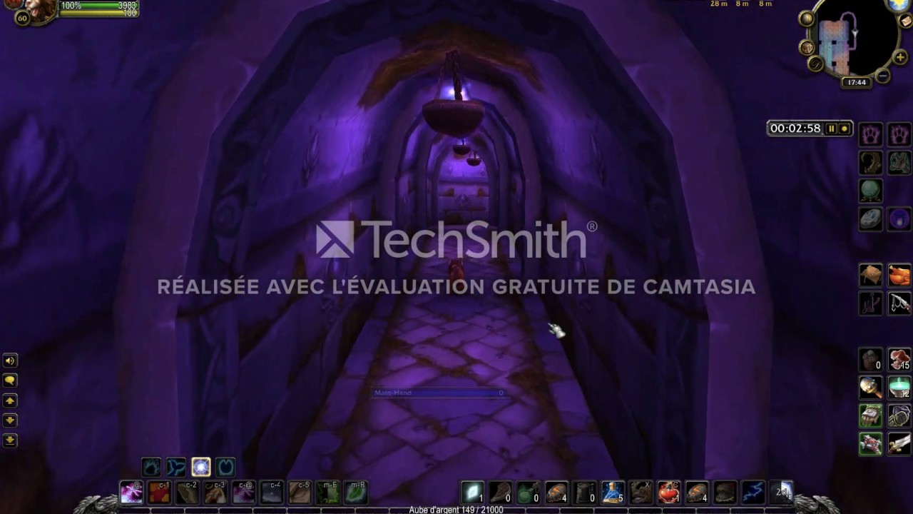 DIRE MAUL EAST FOROR'S & DUSTY TOMES SOLO FARM FERAL DRUID 10MIN/RUN