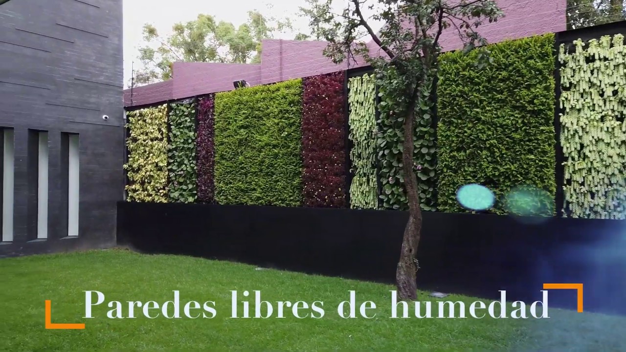 Jardin Vertical Natural para delimitar colindancia