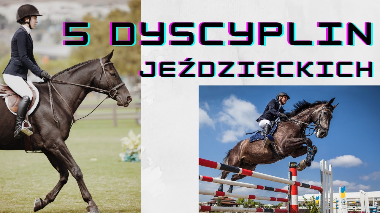 5 dyscyplin jeździeckich