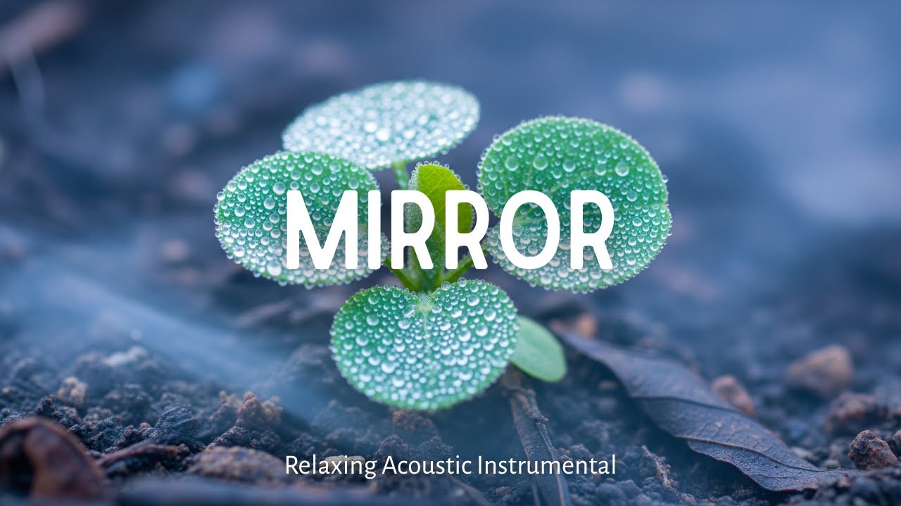 Emotional Acoustic Guitar Music for Deep Focus, Stress Relief, Work Productivity, and Study