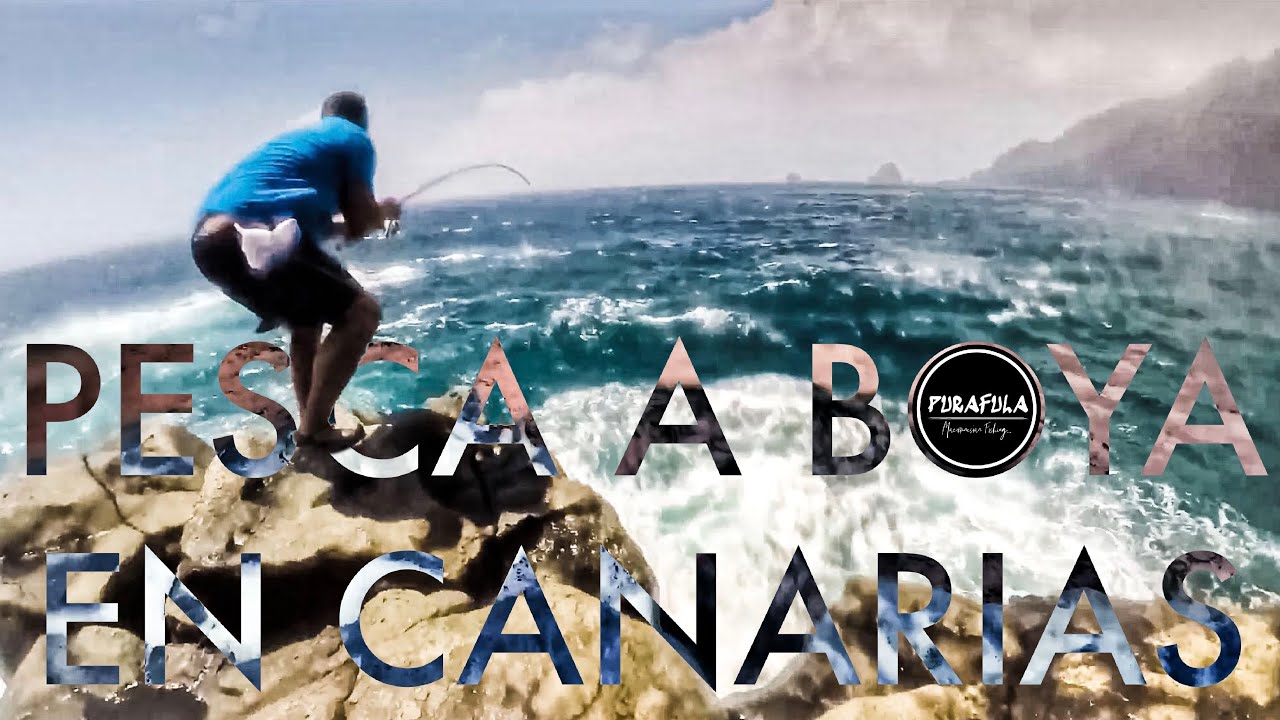 Pesca a boya en Canarias: Mañana productiva