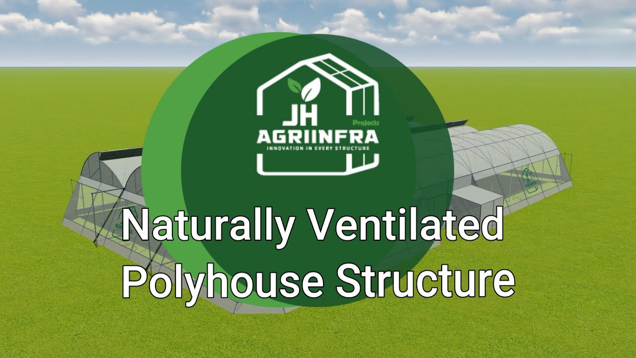 Modern Farming Solution: Naturally Ventilated Polyhouse (NVPH) | NHB Subsidy & 3D Tour #jhagriinfra