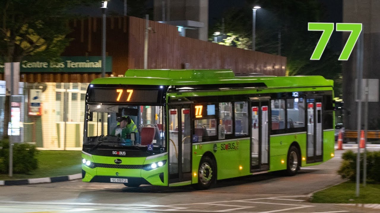 SG3197J - TTS Bus Service 77 [BYD BC12A04]
