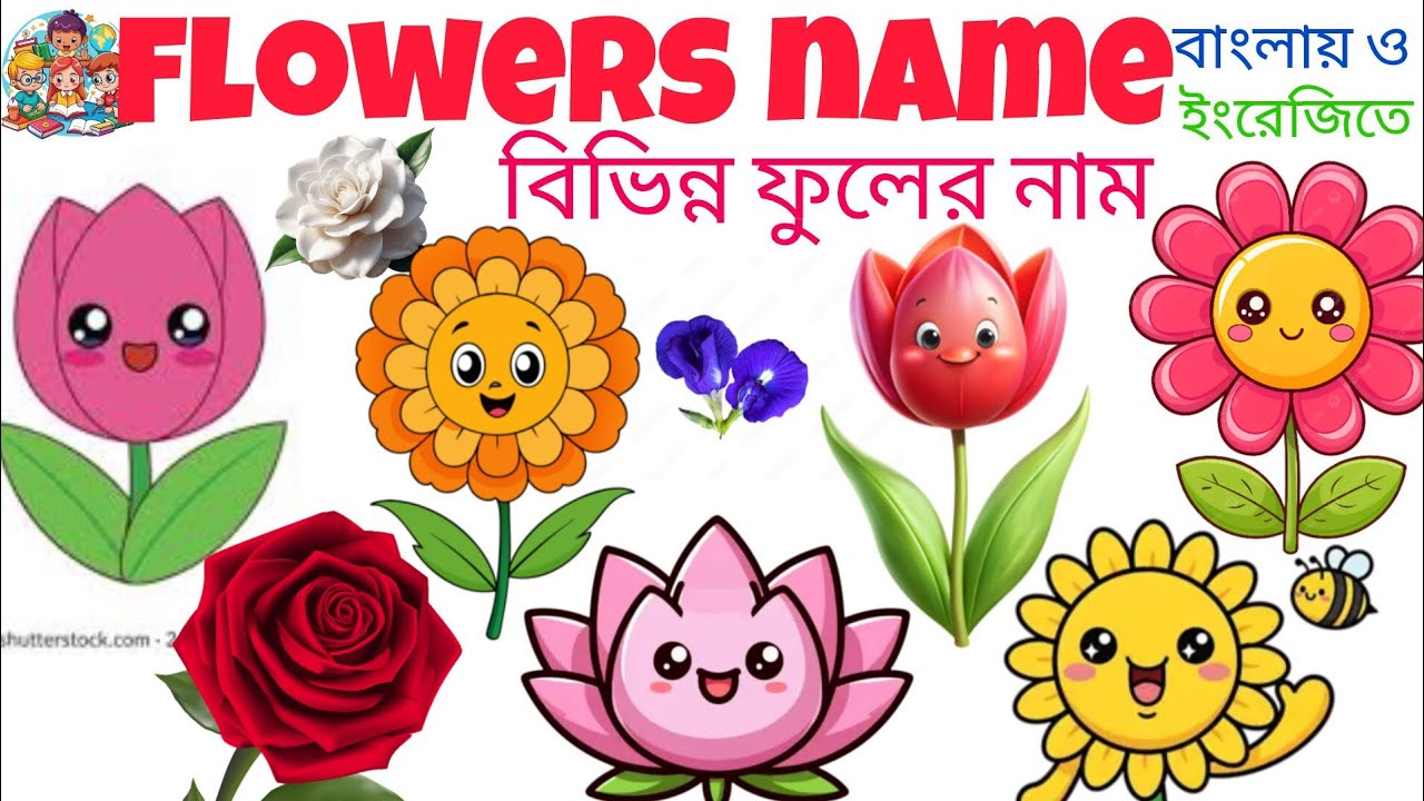 Flowers Name | Name Of Flowers | Flowers Name of Bengali and English | Learn Flowers Name For Kids