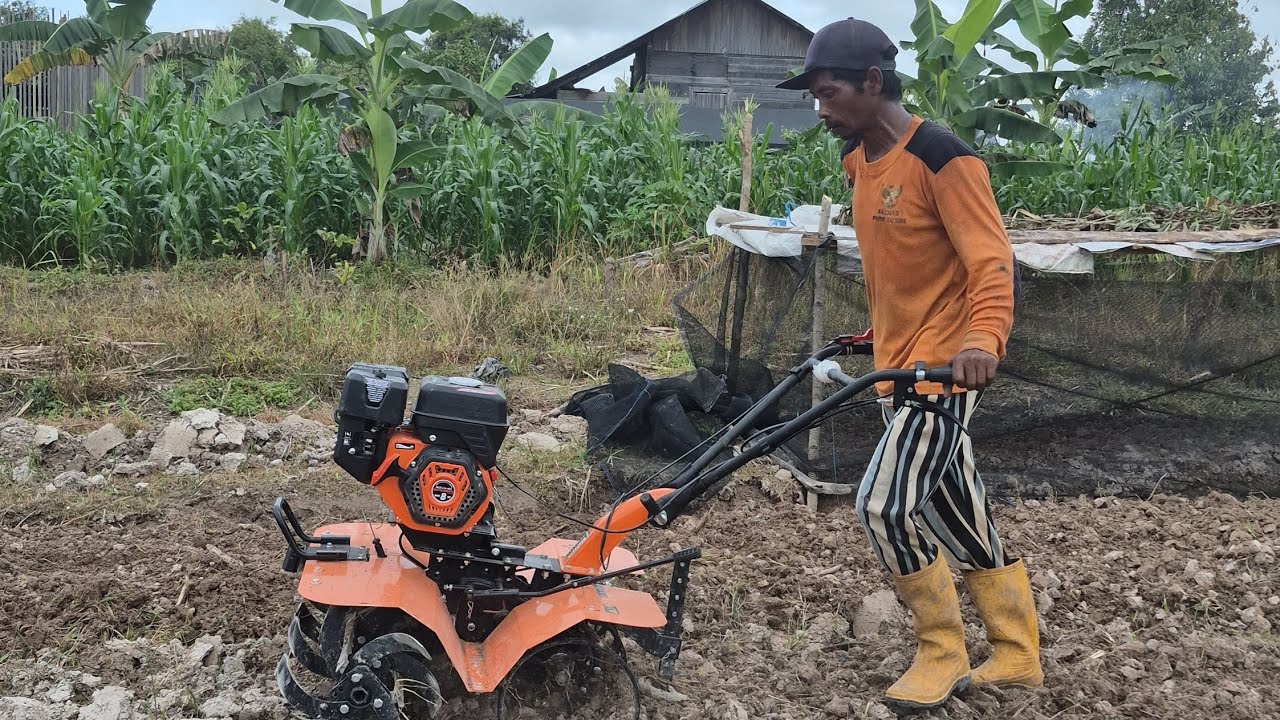 PAK KASTURI BERSIAP TANAM SAYUR, PAK WANI DUKUNG OLAH LAHAN