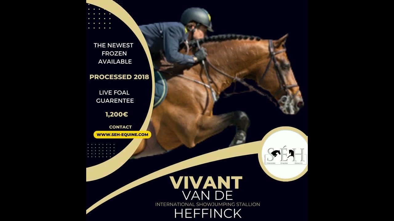 Vivant and  Katharina Offel