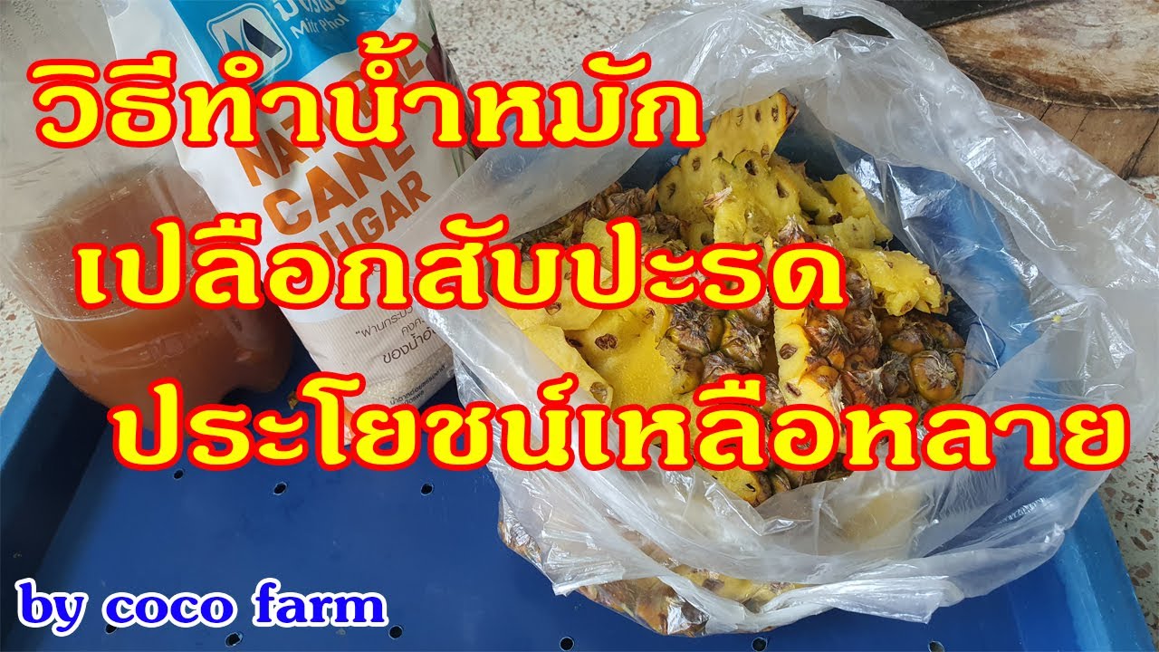 อย่าทิ้ง เปลือกสับปะรดเอามาทำ น้ำหมักเปลือกสับปะรด ประโยชน์ เหลือหลาย