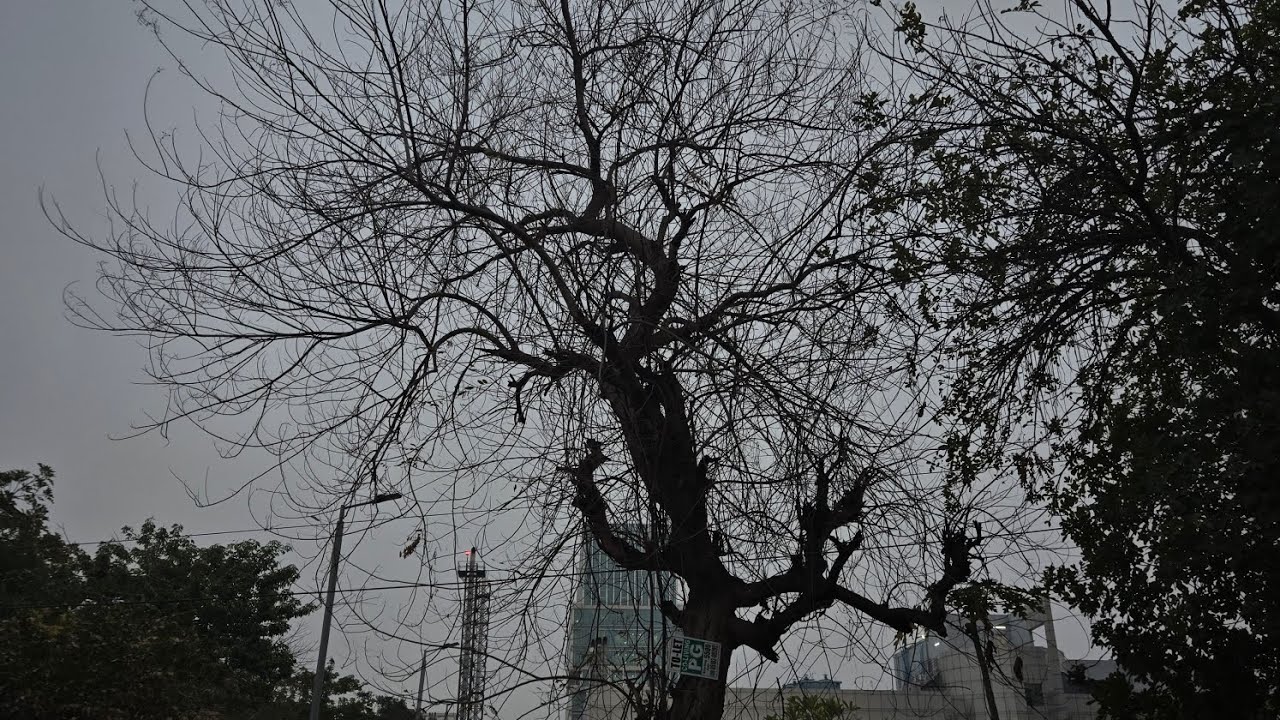 Rainy weather, craving for pakodas… but didn’t find any 🥲☔#trending #foryou #youtube #dailyvlog 