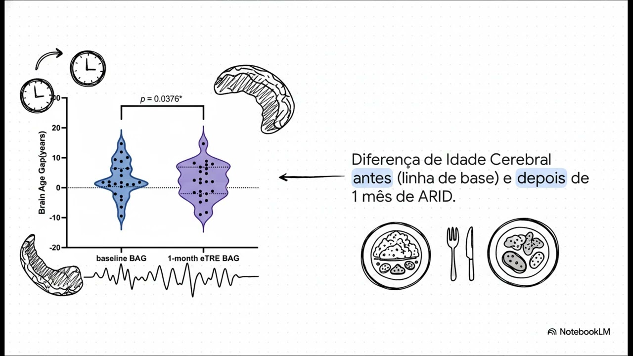 Alimentação com Restrição de Tempo e Rejuvenescimento Cerebral Masculino