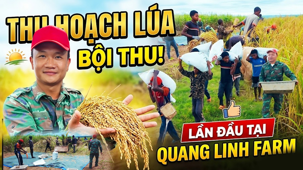 Kỳ T&iacute;ch Tr&ecirc;n Mảnh Đất Cằn  
