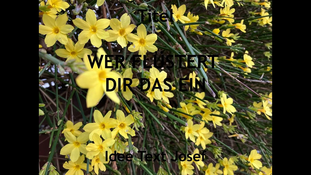 Wer flüstert dir das ein