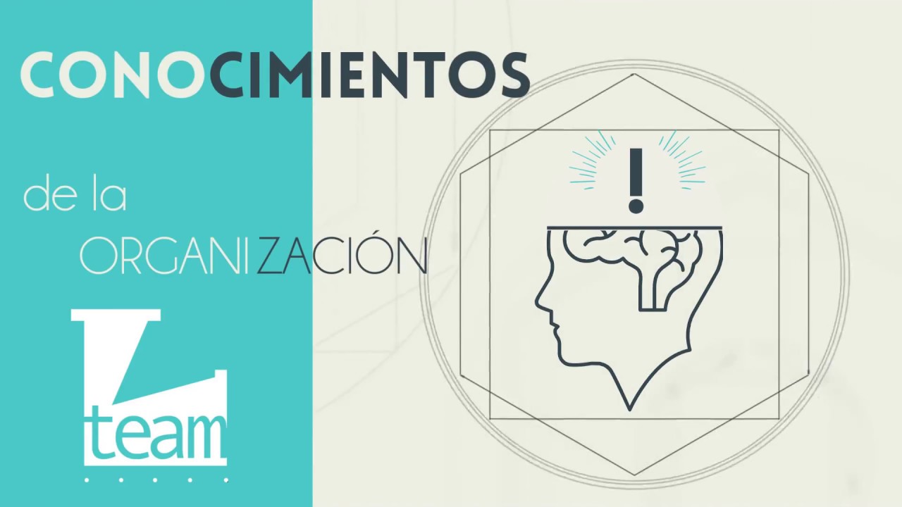 Conocimientos de la Organización