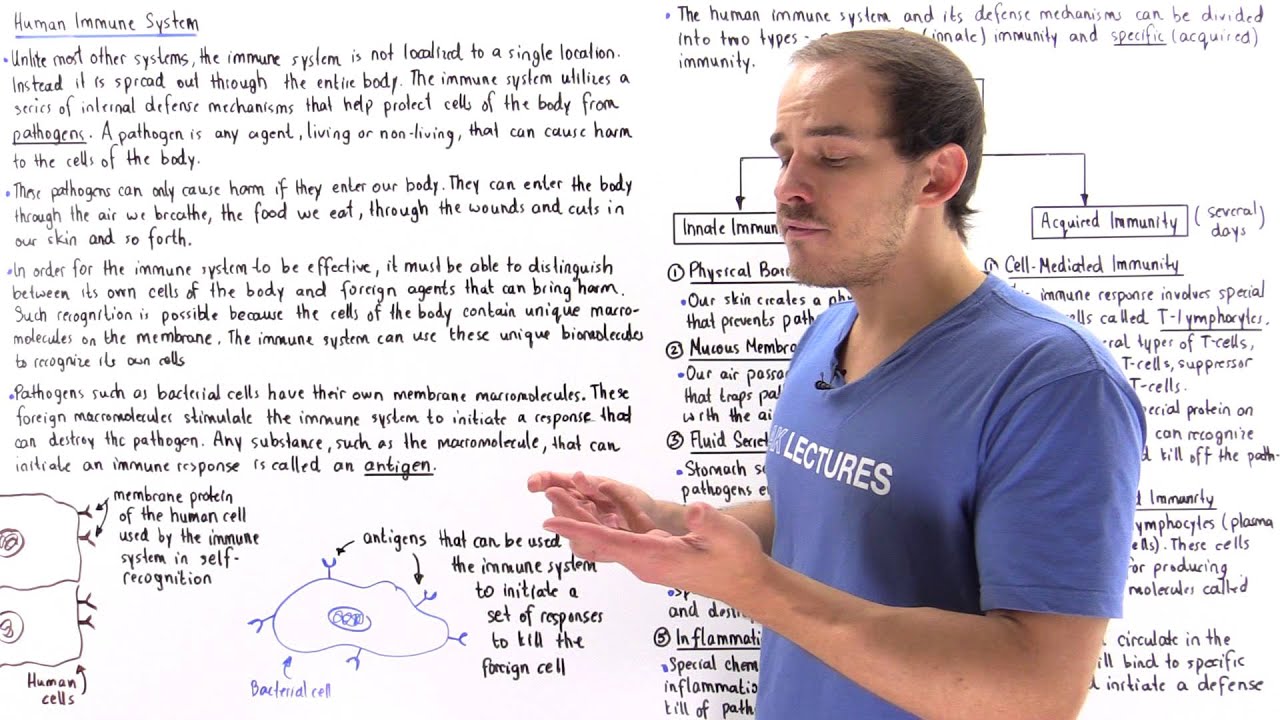 Introduction to Immune System