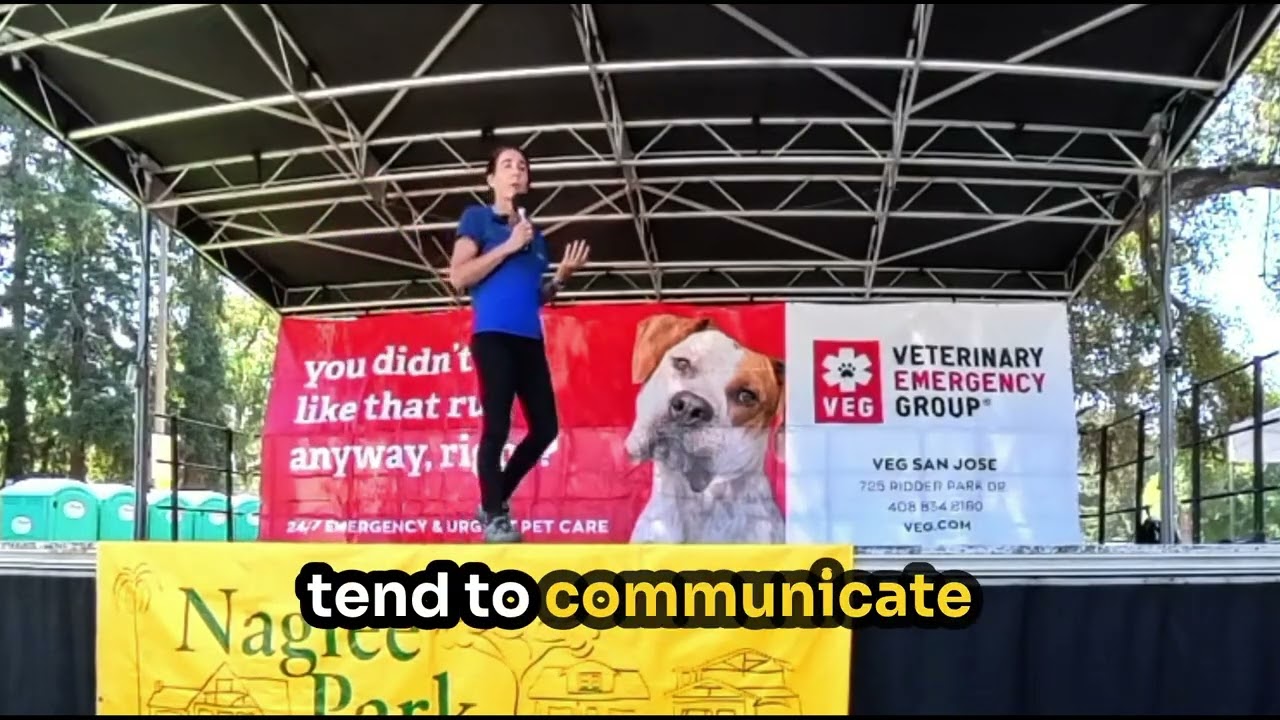 Talking with Animals   It&rsquo;s Real, and It Works