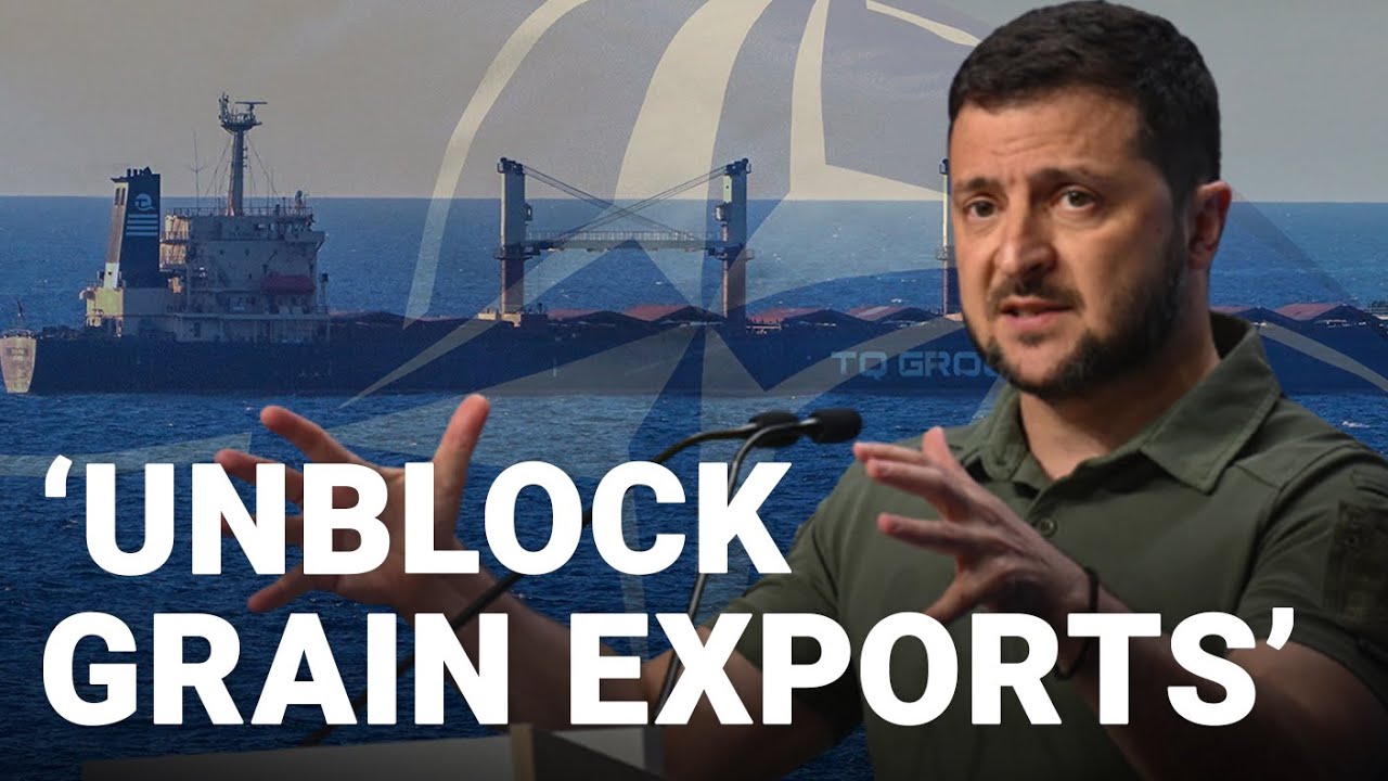 Ukraine will overcome Black Sea grain crisis, says Zelensky