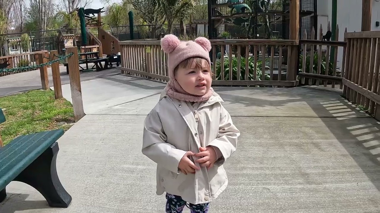 The Zoo is Empty!