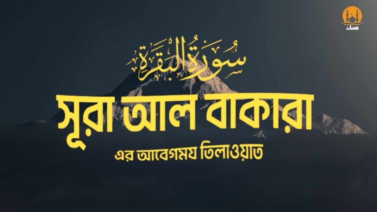 সূরা আল বাকারা এর প্রশান্তিময় কন্ঠে তিলাওয়াত┇🥀📖👍Surah Al Baqarah by Recited Zain Abu Kautsar