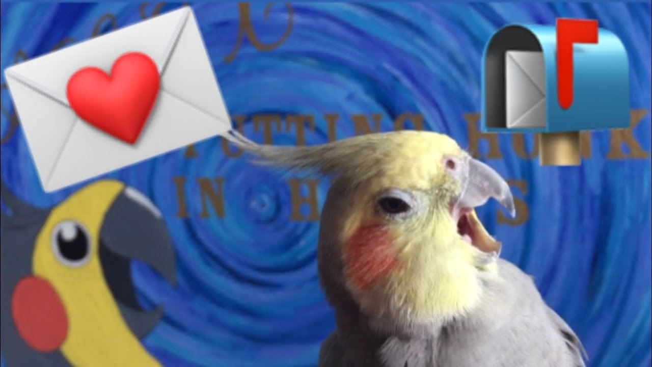 Birb Mail!