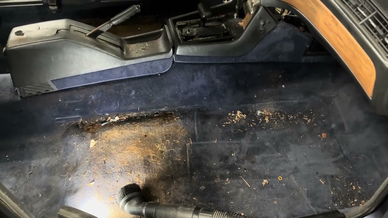 Cleaning out the mice from my E23 BMW 745i