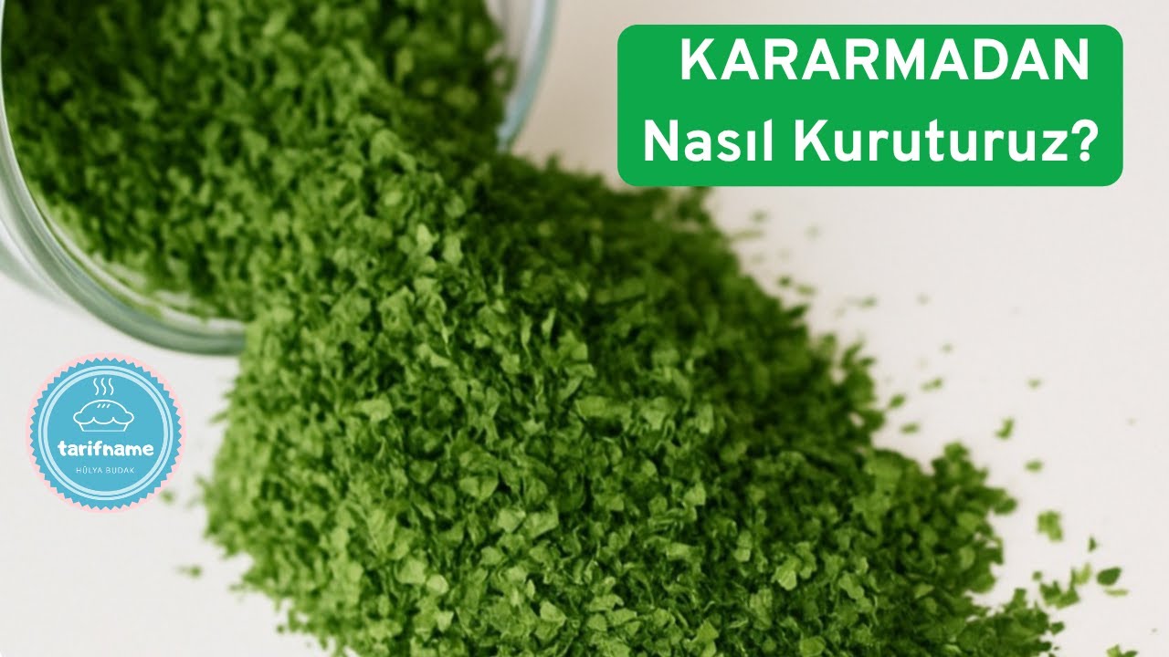 Yemyeşil Maydonoz Nasıl Kurutulur | Evde Yeşillik Kurutma Yöntemi