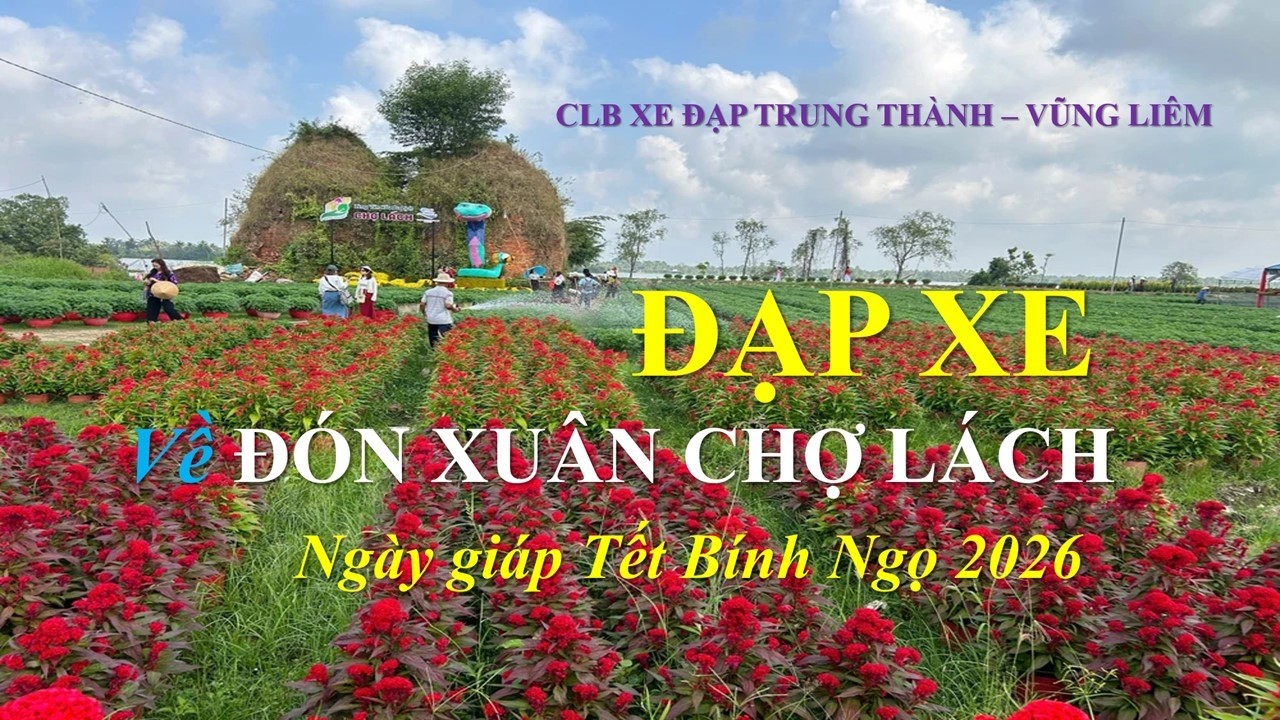 Đạp xe về Chợ Lách (Bến Tre) những ngày giáp Tết Bính Ngọ 2026!